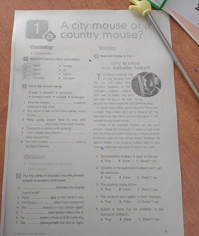 Выполни упражнения 1-4 на тему "A city mouse or a country mouse?"
