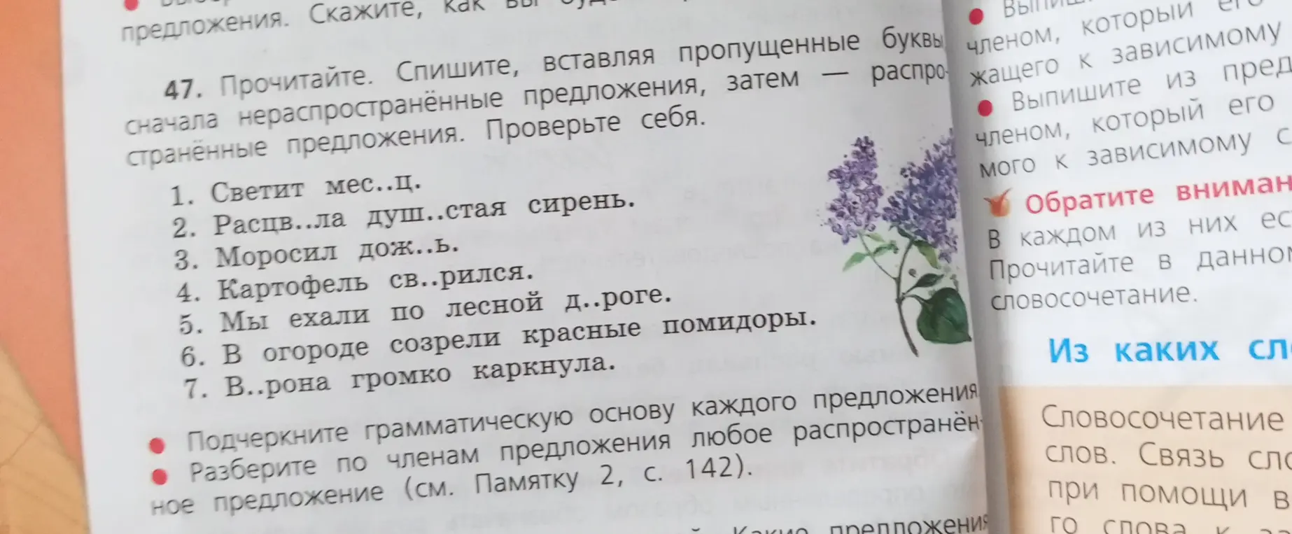 Прочитай, спиши, вставляя пропущенные буквы сначала в нераспространённые предложения, затем в распространённые предложения. Проверь себя.