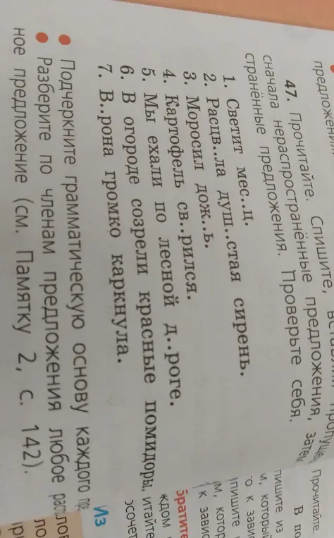 Помоги подчеркнуть грамматическую основу каждого предложения и разобрать по членам первое распространенное предложение.