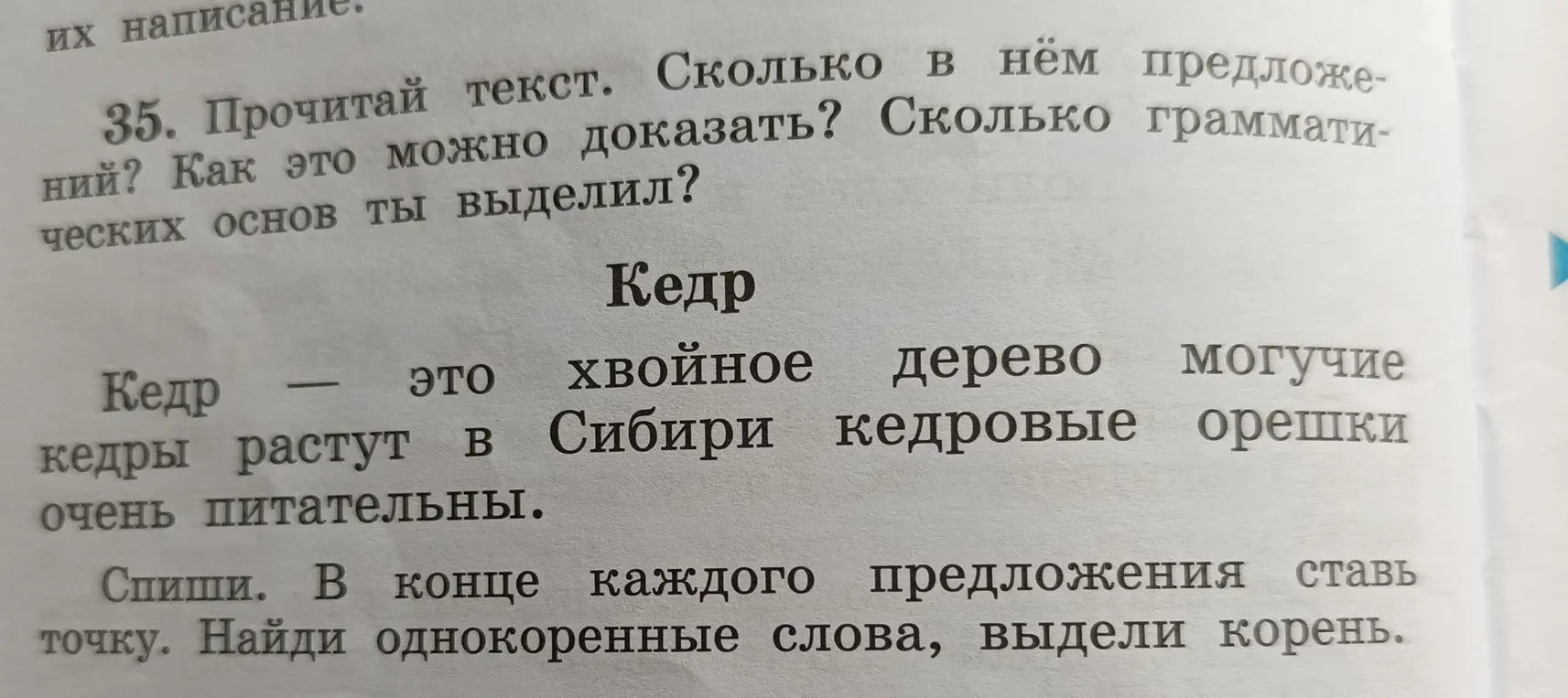 Ты просишь посчитать количество предложений в тексте, определить, как это доказать и выделить грамматические основы.