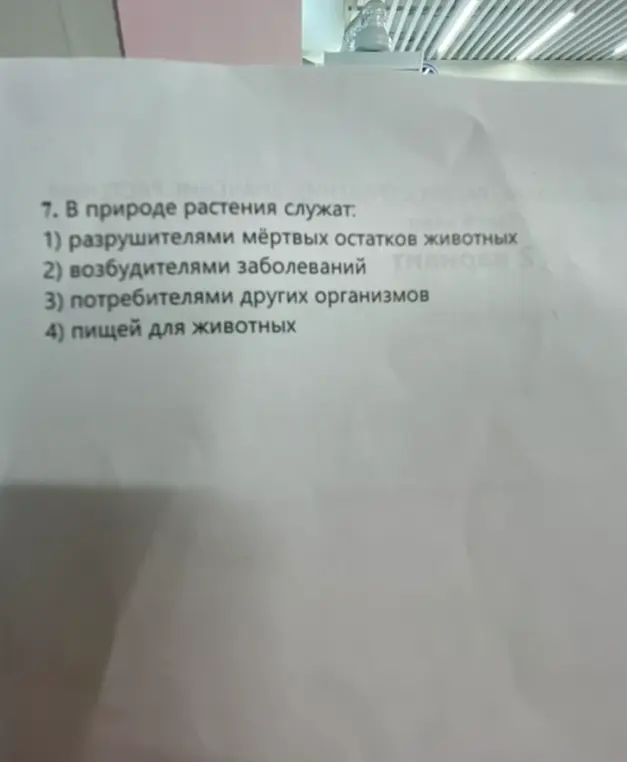 Определи, чем в природе служат растения: разрушителями мёртвых остатков животных?