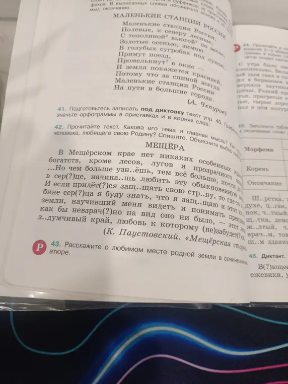Какова тема и главная мысль текста про Мещёру?