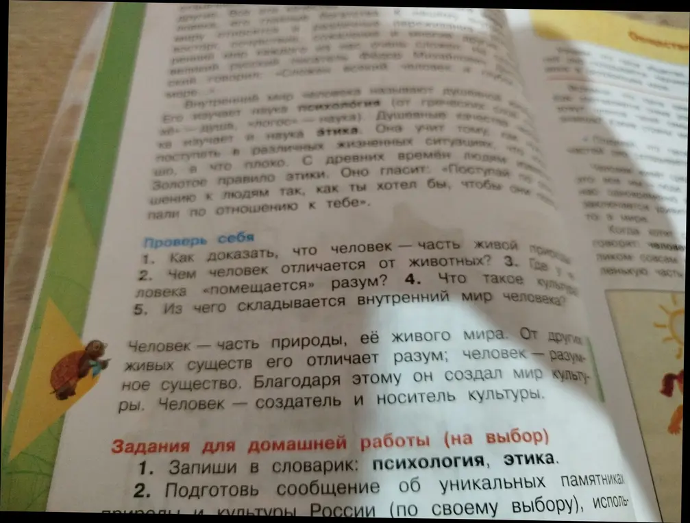 Можешь ответить на вопросы из раздела "Проверь себя"?