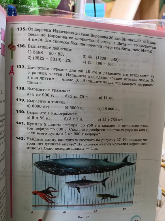 Найди длину каждого животного по рисунку 27. На сколько метров кит длиннее акулы?
