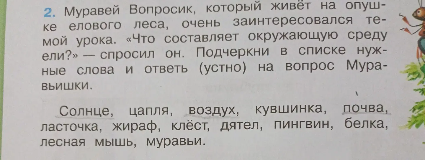 Подчеркни в списке нужные слова и ответь на вопрос 'Что составляет окружающую среду ели?'