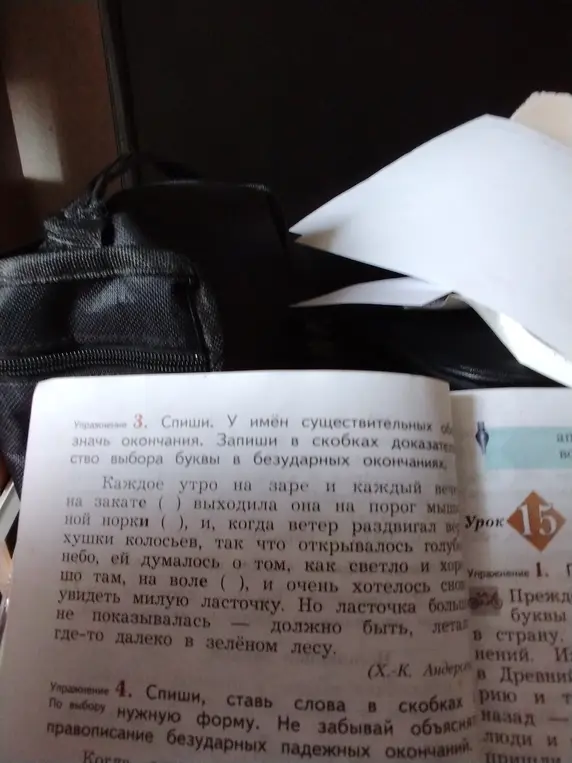 Выполни упражнение: спиши, у имён существительных обозначь окончания. Запиши в скобках доказательство выбора буквы в безударных окончаниях.