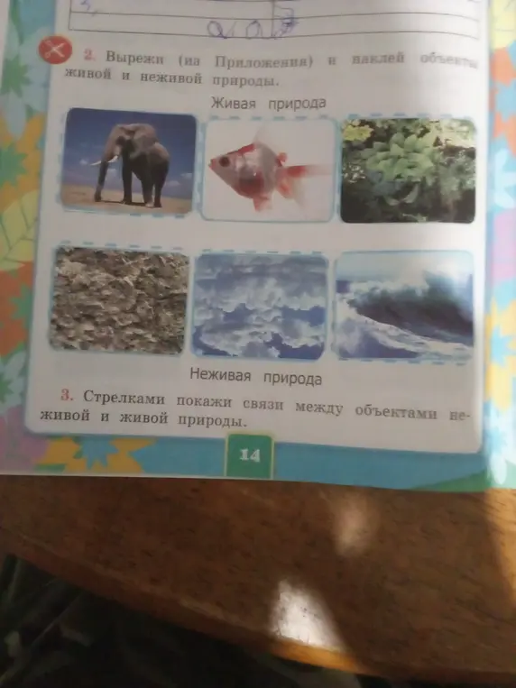 Помоги мне стрелками показать связи между объектами неживой и живой природы на картинке