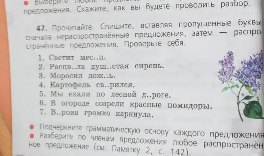 Помоги вставить пропущенные буквы в слова и подчеркнуть грамматическую основу каждого предложения: Светит мес..ц.