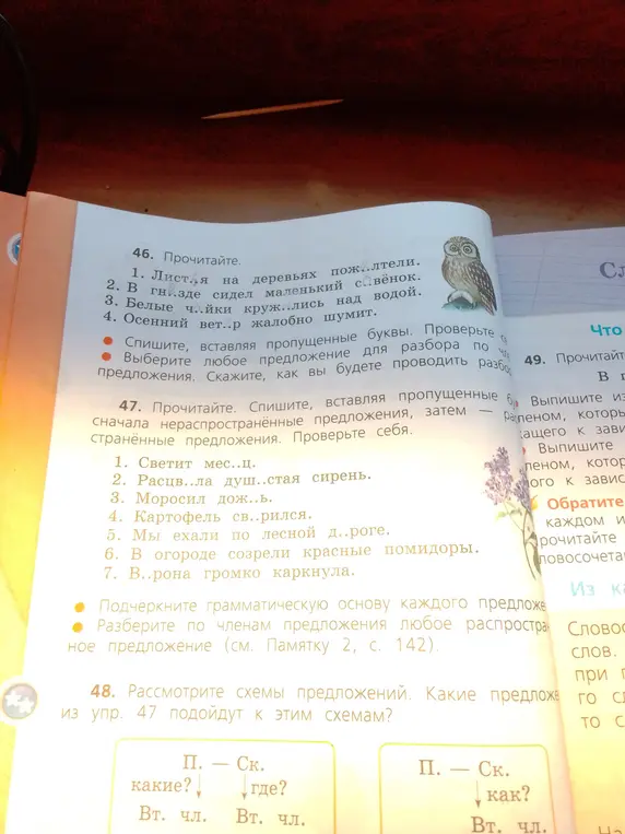 Можешь ли ты помочь мне вставить пропущенные буквы в упражнении 46 и разобрать предложение по членам? А также выполнить задания в упражнении 47: вставить пропущенные буквы, подчеркнуть грамматическую основу и разобрать предложение по членам?