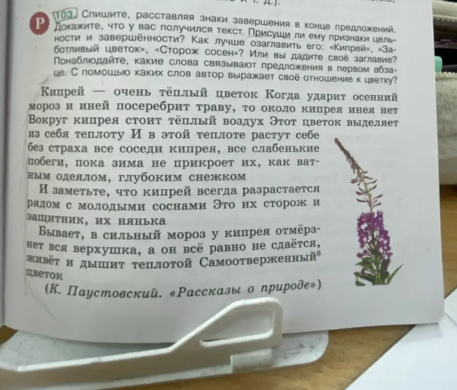 Спиши текст, расставляя знаки завершения в конце предложений