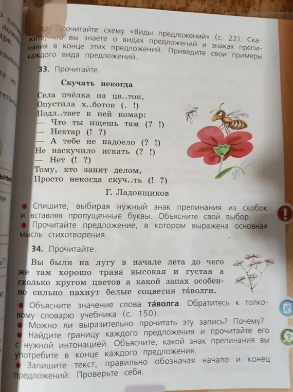 Выполни упражнения 33 и 34