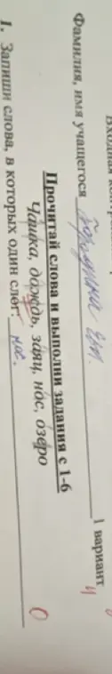 Ты просишь записать слова, в которых один слог, из списка: чашка, дождь, заяц, нос, озеро