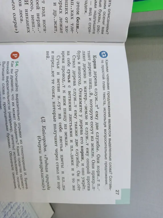 Определи, какими членами предложения являются выделенные слова и составь простой план текста, используя вопросительные предложения. Выпиши слова с пропущенными буквами, обозначь окончания