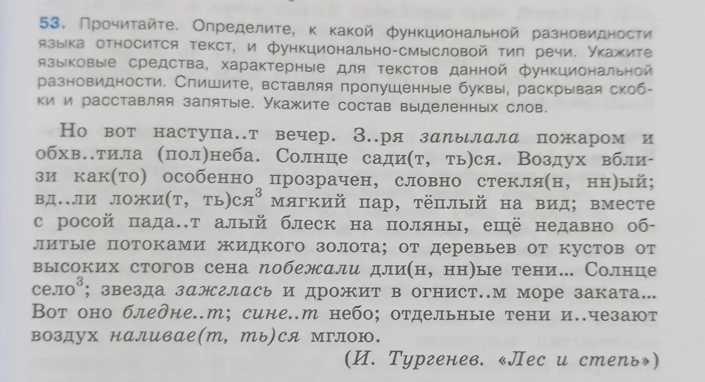 Определи, к какой функциональной разновидности языка относится текст из упражнения 53.