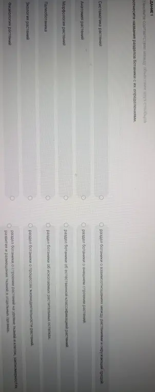 Можешь ли ты установить соответствие между названиями разделов ботаники и их определениями?