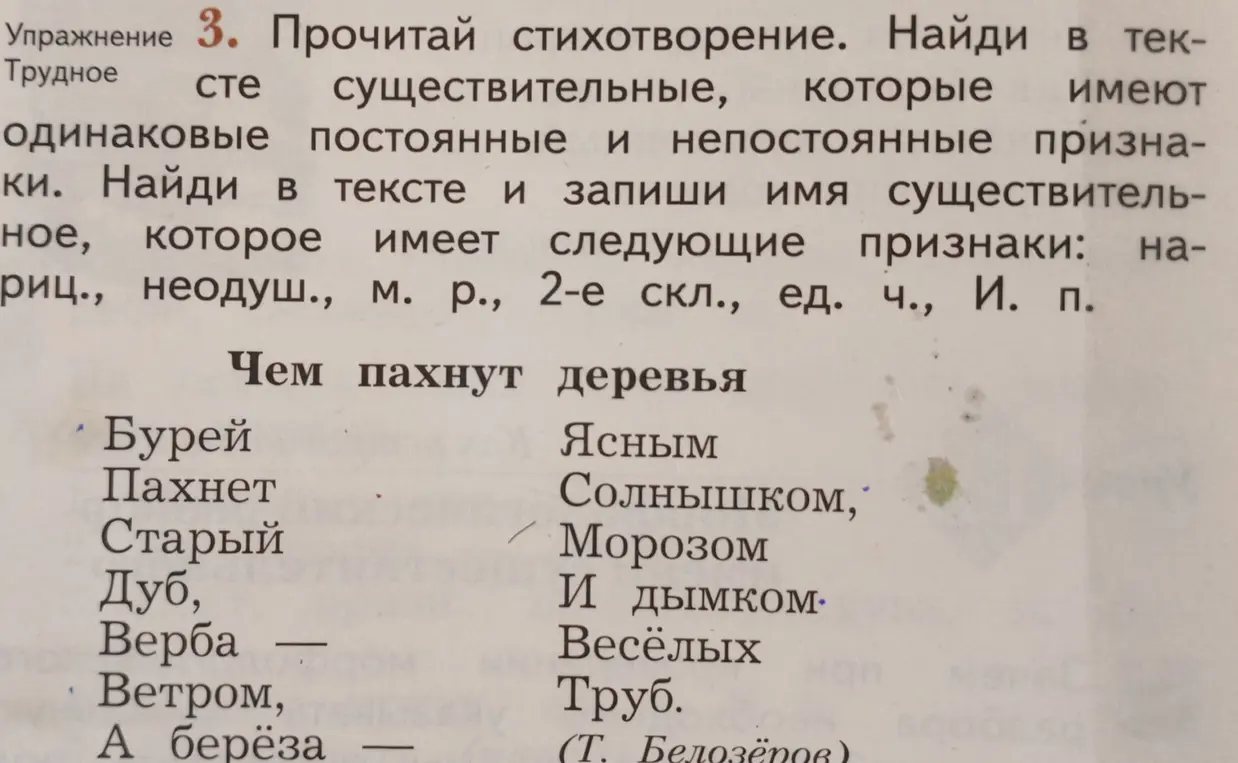Помоги найти в тексте существительные с одинаковыми постоянными и непостоянными признаками и имя существительное, которое имеет признаки: нариц., неодуш., м. р., 2-е скл., ед. ч., И. п.