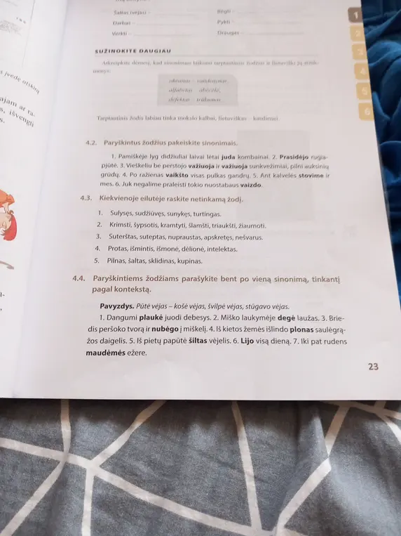 Paryškintus žodžius pakeisk sinonimais