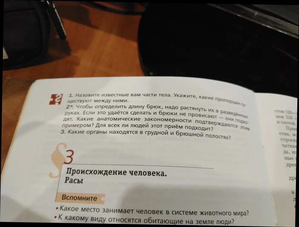 Назови известные тебе части тела и пропорции между ними