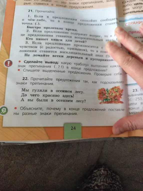 Объясни, какую работу выполняет каждый знак препинания (.?!) в конце предложения