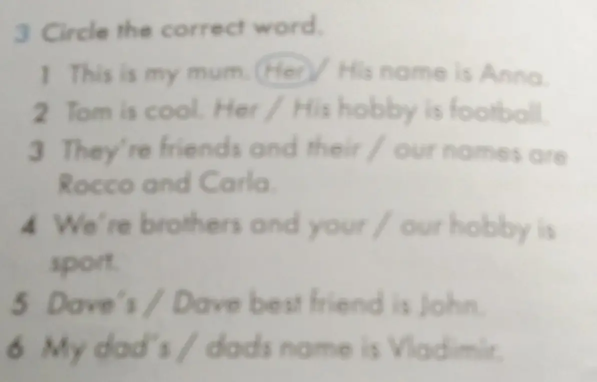 Выбери правильное слово в предложении 'This is my mum. Her / His name is Anna.'