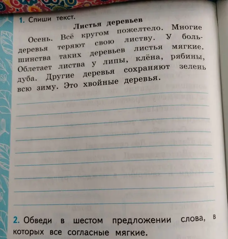 Обведи в шестом предложении слова, в которых все согласные мягкие.