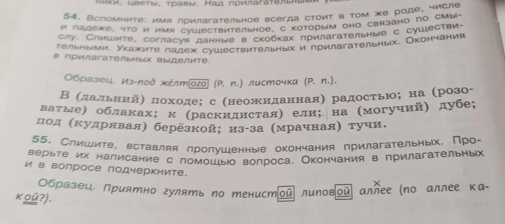 Спиши, согласуя данные в скобках прилагательные с существительными, укажи падеж существительных и прилагательных, окончания в прилагательных выдели. Спишите, вставляя пропущенные окончания прилагательных и проверьте их написание с помощью вопроса, окончания в прилагательных и в вопросе подчеркни.