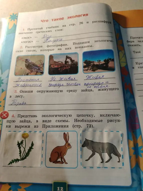 Представь экологическую цепочку, включающую зайца, в виде схемы