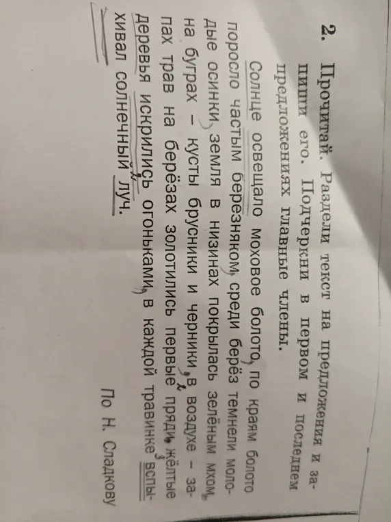 Раздели текст на предложения и подчеркни в первом и последнем предложениях главные члены.