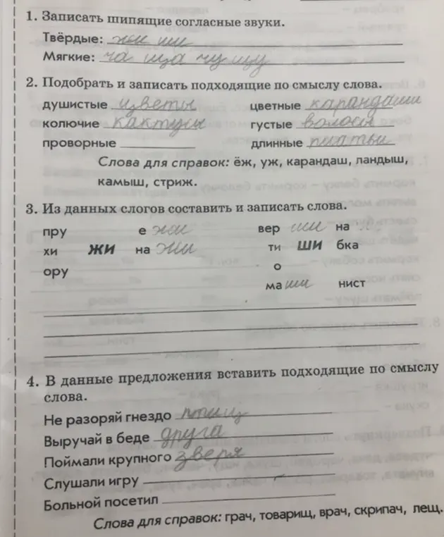 Помоги выполнить задания: 1. Записать шипящие согласные звуки; 2. Подобрать и записать подходящие по смыслу слова; 3. Из данных слогов составить и записать слова; 4. В данные предложения вставить подходящие по смыслу слова.