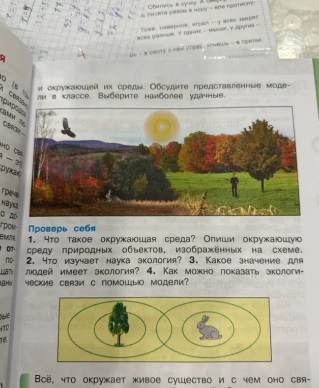 Что такое окружающая среда и опиши окружающую среду природных объектов, изображённых на схеме.