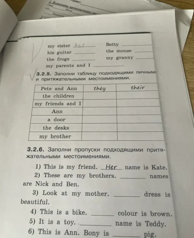 Заполни подходящее притяжательное местоимение в упражнении 3.2.4