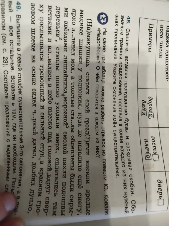 Можешь помочь с упражнениями 48 и 49? В 48 нужно списать текст, вставляя пропущенные буквы, раскрывая скобки, ставя знаки препинания и указывая склонение, а в 49 - выписать существительные 3-го склонения и составить предложения.