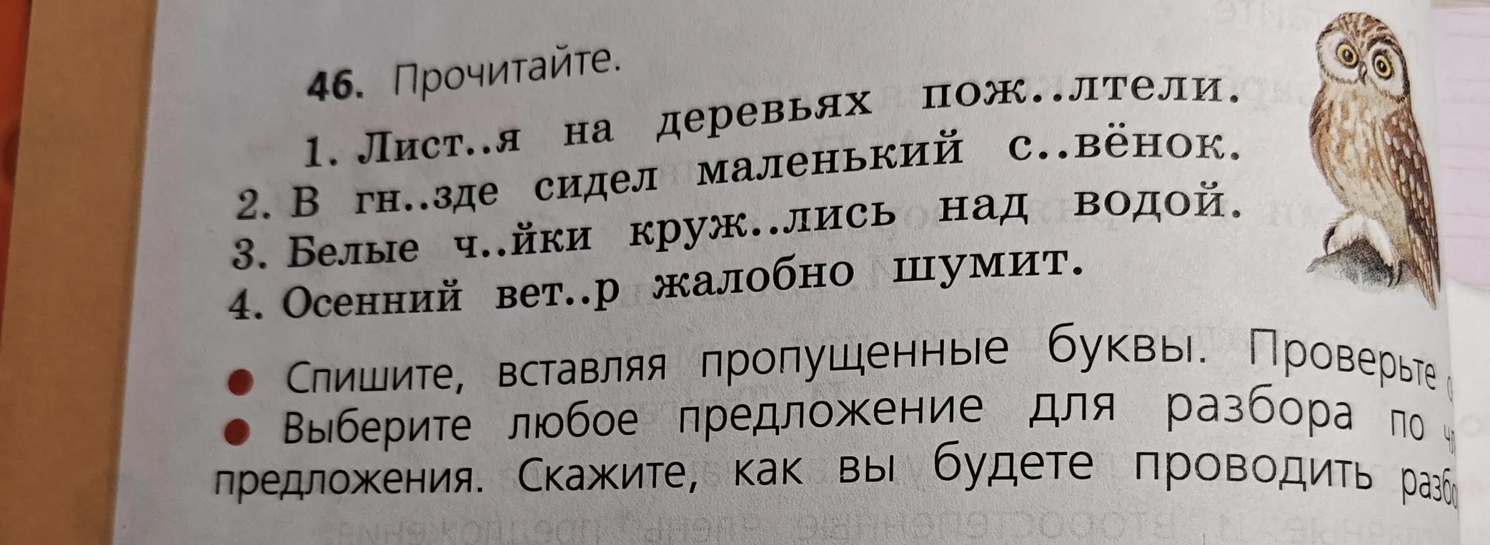 Предложи вставить пропущенные буквы в предложениях.