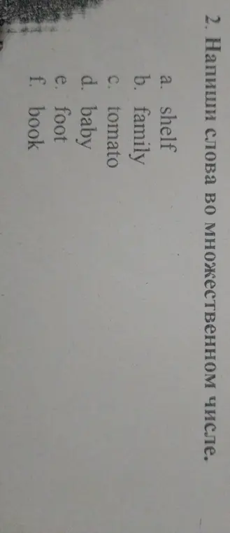 Напиши слова во множественном числе: shelf