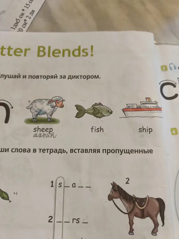 Помоги мне вставить пропущенные буквы в слова 's _ a _ _' и '_ _ rs _'