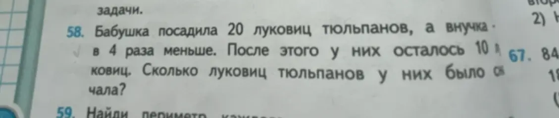 Можешь помочь решить задачу: бабушка посадила 20 луковиц тюльпанов, а внучка в 4 раза меньше. После этого у них осталось 10 луковиц. Сколько луковиц тюльпанов у них было сначала?