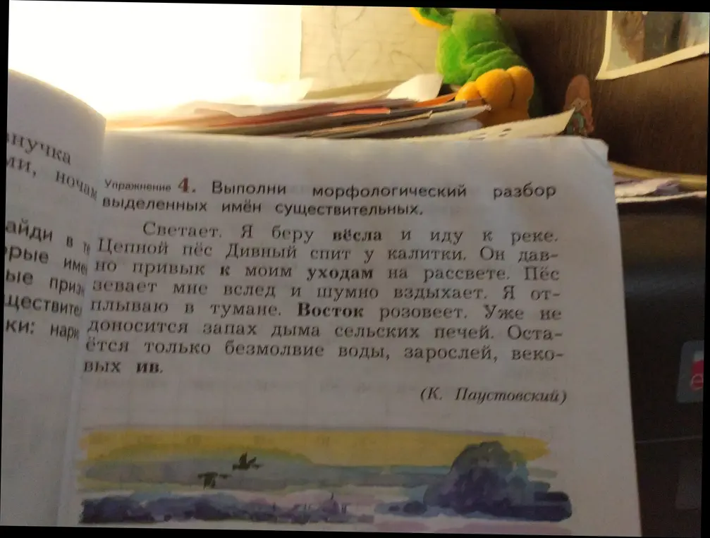 Выполни морфологический разбор выделенных имён существительных