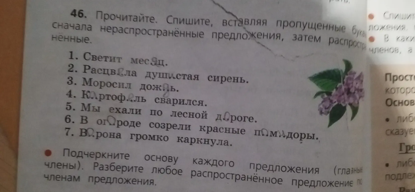 Мне нужно подчеркнуть основу каждого предложения и разобрать по членам любое распространённое предложение.
