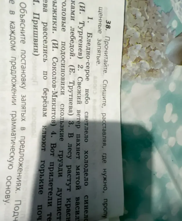 Объясни постановку запятых и подчеркни грамматическую основу в предложениях.