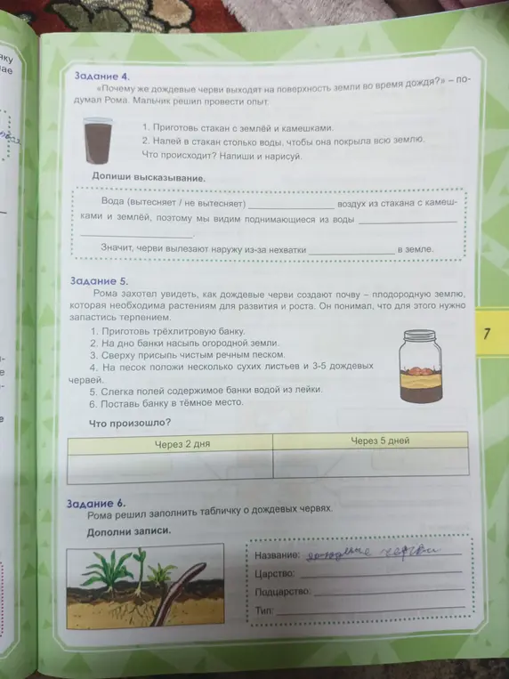 Ты просишь помочь ответить на вопросы по заданиям 4, 5 и 6 про дождевых червей