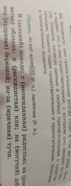 Определи падеж существительных и прилагательных в предложении 'В (дальний) походе'