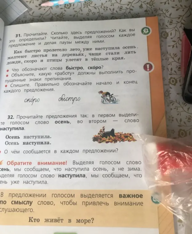 Прочитай текст. Сколько здесь предложений? Как ты это определил?