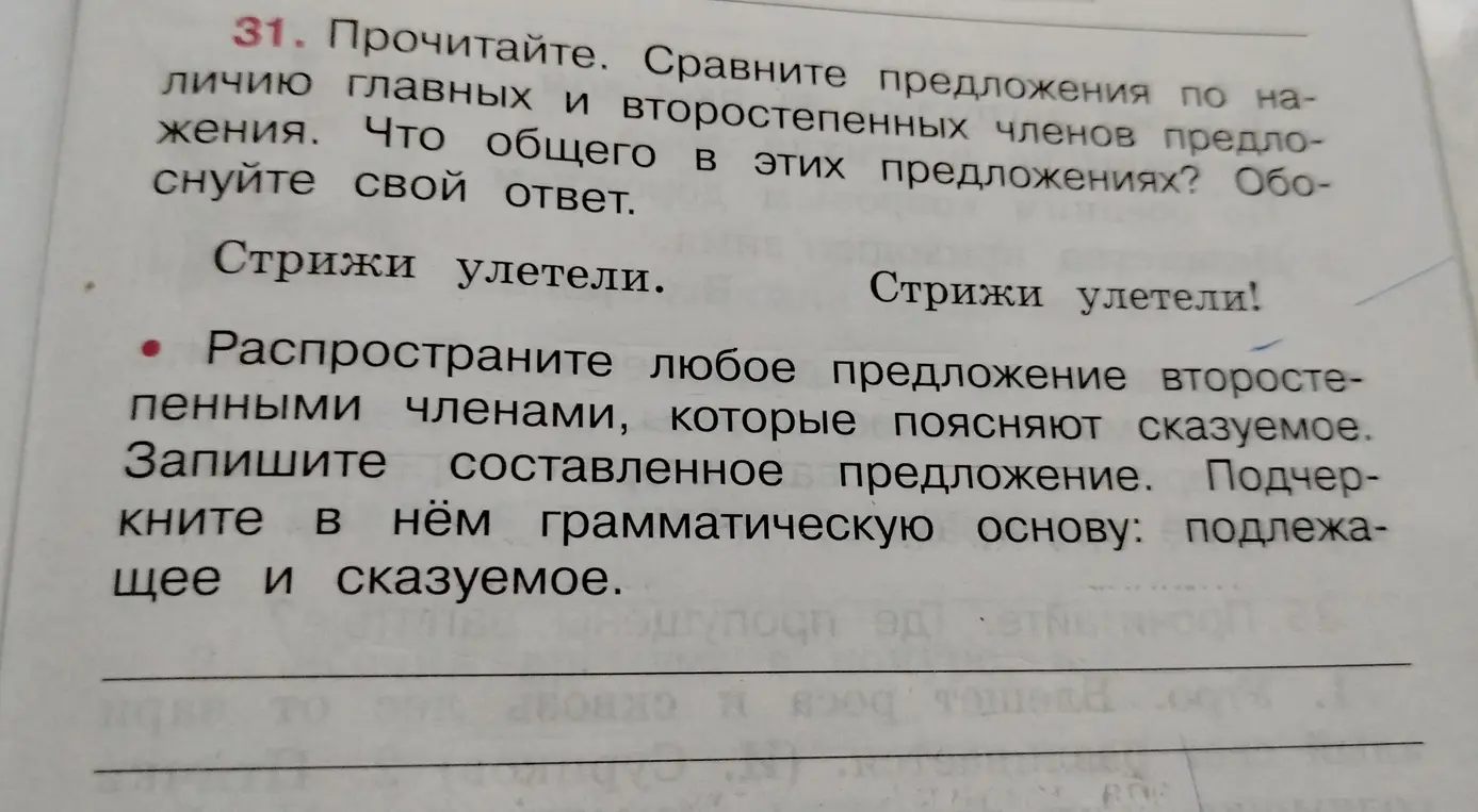 Ты просишь распространить предложение второстепенными членами, которые поясняют сказуемое и подчеркнуть в нём грамматическую основу.