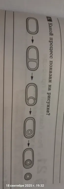 Какой процесс показан на рисунке?