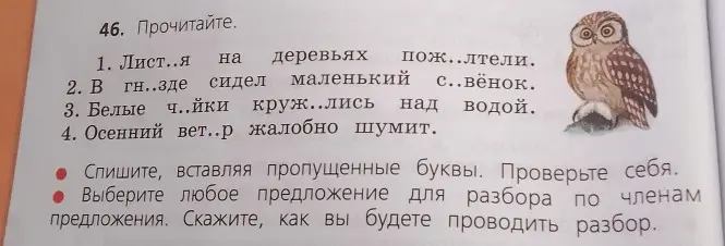 Предложи вставить пропущенные буквы в словах и выполнить разбор первого предложения по членам