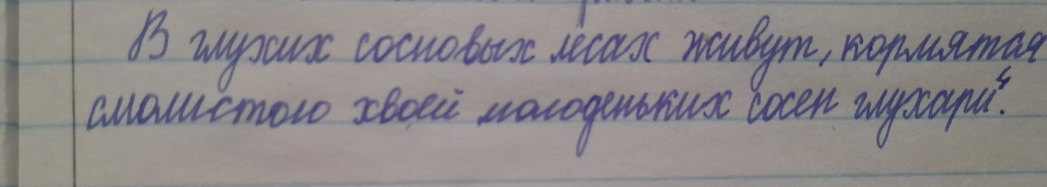 Произведи синтаксический анализ предложения 'В глухих сосновых лесах живут, кормясь смолистою хвоей молоденьких сосен глухари'.