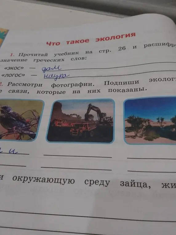 Можешь ли ты прочитать учебник на странице 26 и расшифровать значение греческих слов: «ЭКОС» и «логос»?