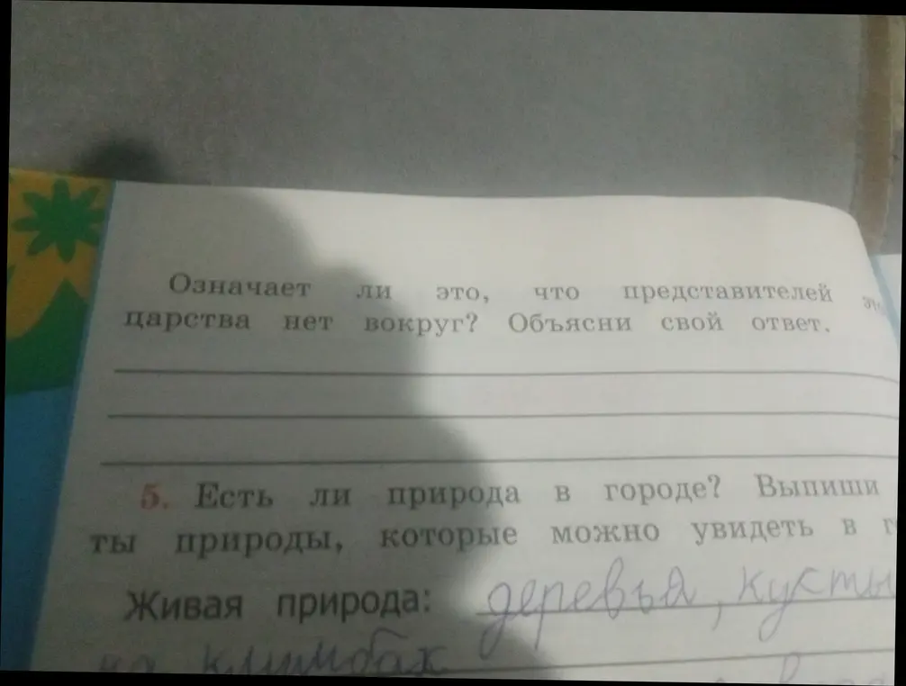 Назови примеры природы, которые можно увидеть в городе