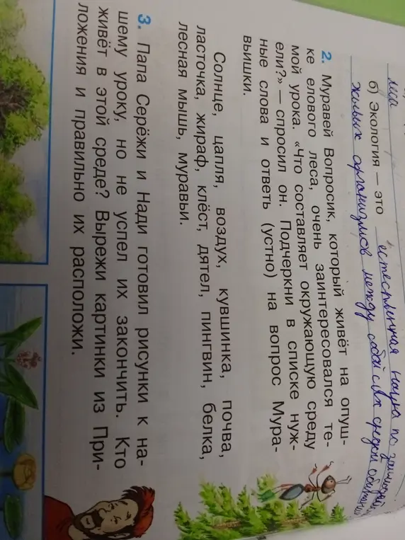 Что составляет окружающую среду ели?