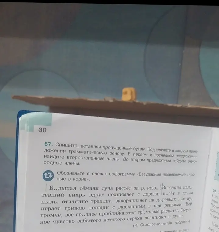 Ты просишь списать текст, вставить пропущенные буквы, подчеркнуть грамматическую основу в каждом предложении, в первом и последнем предложении найти второстепенные члены, во втором предложении найти однородные члены и обозначить в словах орфограмму «Безударные проверяемые гласные в корне».